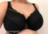 Nessa Abbi Padded -rintaliivit musta-thumb Kaarituettu, topattu 60-95, D-.L N001-502