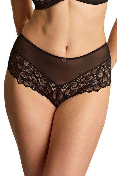 Panache Allure Deep Brief -alushousut - Black Keskikorkeat pitsialushousut Allure-sarjaan. 36-46 10764-B&L