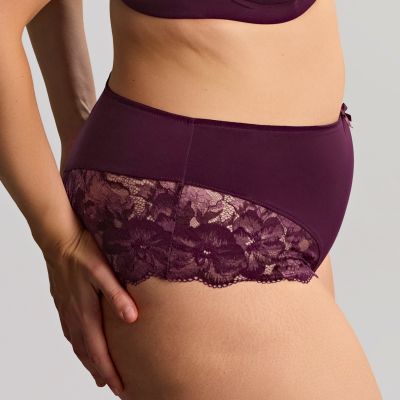 Sculptresse by Panache Amara Deep Brief -alushousut - Plum Alushousut Amara-sarjaan. M/38 - 5XL/50 11264-PLM