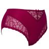 Plaisir Lingerie Beate-midialushousut - Rose-thumb Midialushousut joustopitsiupotuksilla. 42-56 144-14/ROS