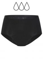 Classic Full Brief -alushousut Moderate-Heavy Black