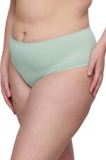 Deauville Plain Full Briefs -alushousut - Fleur de Printemps