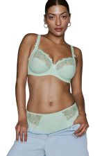 Deauville Plain Full Briefs -alushousut - Fleur de Printemps