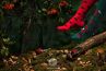 Many Mornings Dots and Bugs Regular -sukat 1 pr-thumb  35-38, 39-42, 43-46 R4