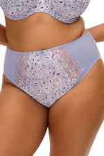 Morgan High Leg Brief -alushousut - Blue Leopard