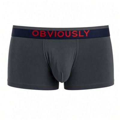 Obviously FreeMan Trunk tuhkanharmaa Trunk 90% Bambu, 10% Lycra S-XL C03-1U