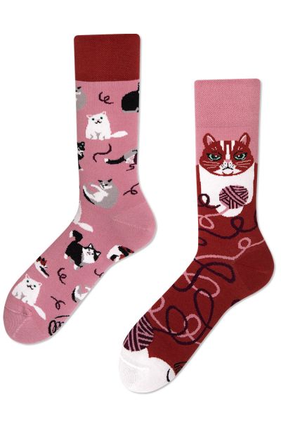 Many Mornings Playful Cat Regular -sukat 1 pr  35-38, 39-42, 43-46 R8