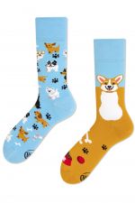 Playful Dog Regular -sukat 1 pr