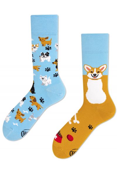 Many Mornings Playful Dog Regular -sukat 1 pr  35-38, 39-42, 43-46 R92
