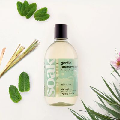 Soak Soak Wild Mint Big Bottle 375 ml pullo  