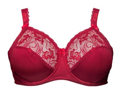 Plaisir Lingerie Sofia Soft Lace -rintaliivit Red Rumba Kaarituettu, toppaamaton, joustopitsinen täyskuppiliivi 80-105 D-H 1130-RMB