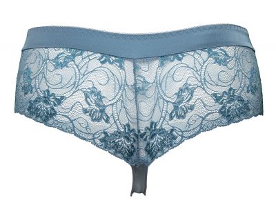 Plaisir Lingerie Sofia-brazilian Artic Brazilianhousut leveällä vyötärökaistaleella 42-54 447-11-ARC