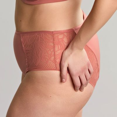 Sculptresse by Panache Sophia Deep brief -alushousut - Sienna Rose Joustopitsiset alushousut Sophia-sarjaan. M/38 - 5XL/50 11192-SIE
