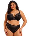 Elomi Tiernie Brief -alushousut - Black-thumb Midihousut Tiernie-sarjaan. S/38 - 4XL/50 EL303350-BLK
