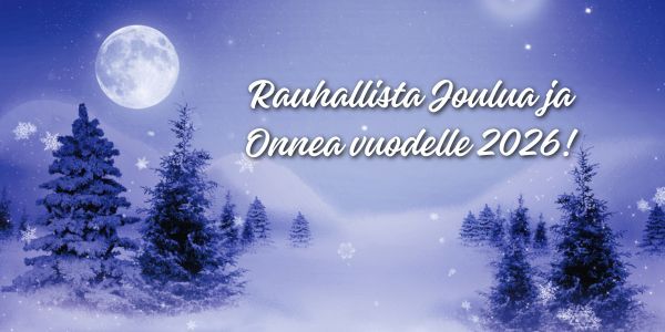 Hyvää Joulua ja Onnea Uudelle Vuodelle!