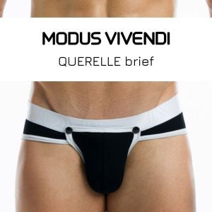 Modus Vivendi Querelle brief